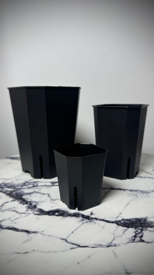 Signature black tower pot