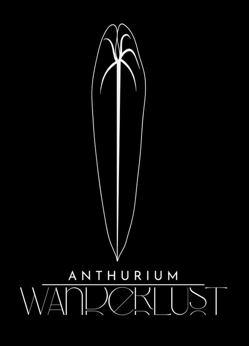 Anthurium Wanderlust 